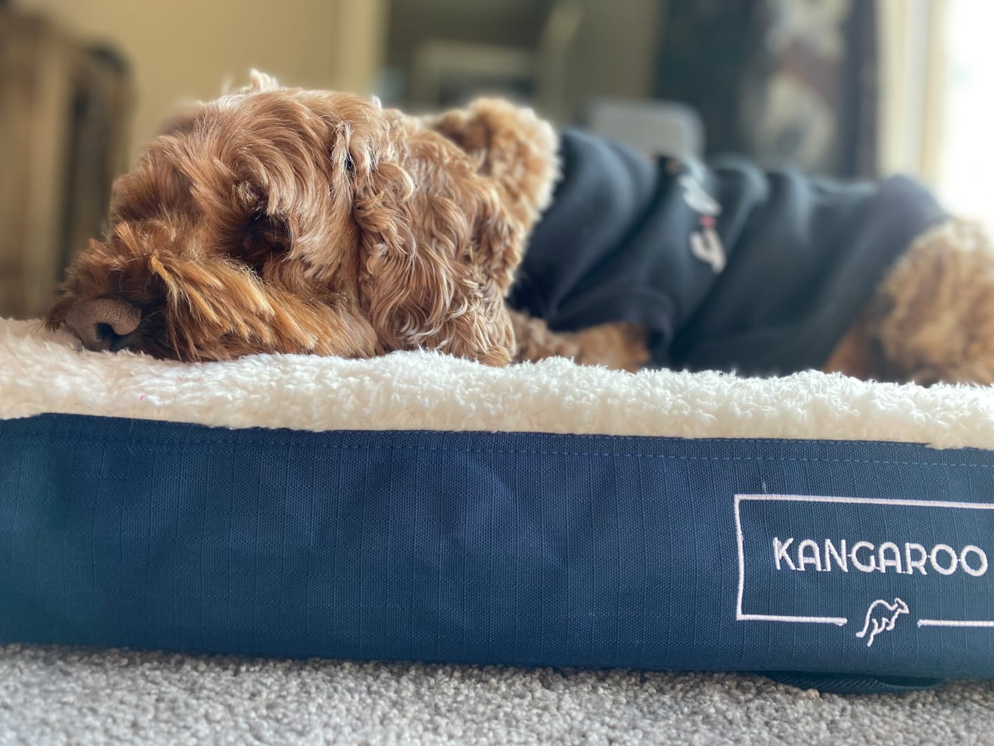 Customer photo review of Winter Cover for Kangaroo Crate Mat