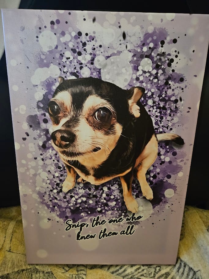Customer photo review of Personalized Pet Art - Canvas