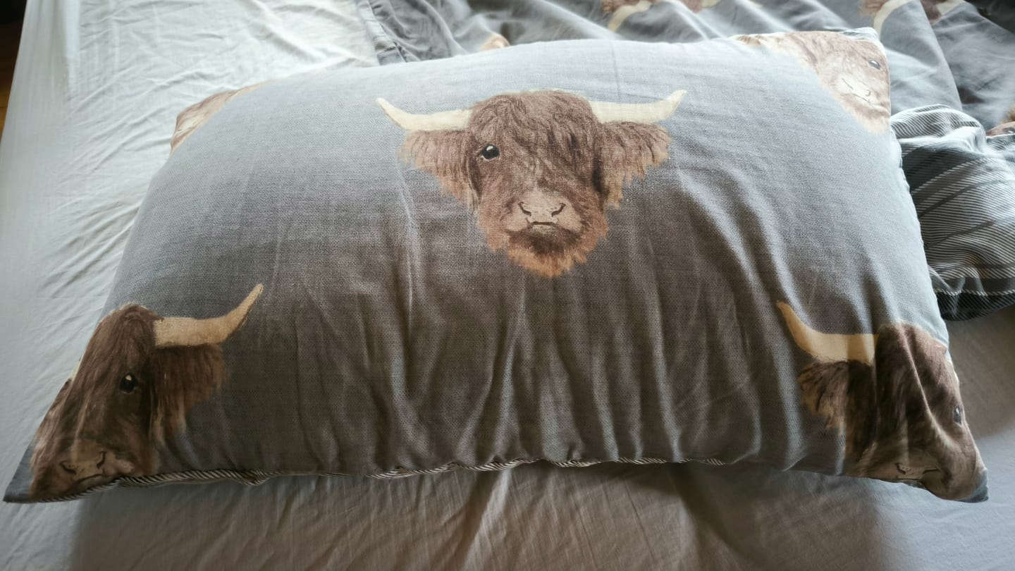 Customer photo review of Martian Dreams Hybrid Pillow 2 Pack