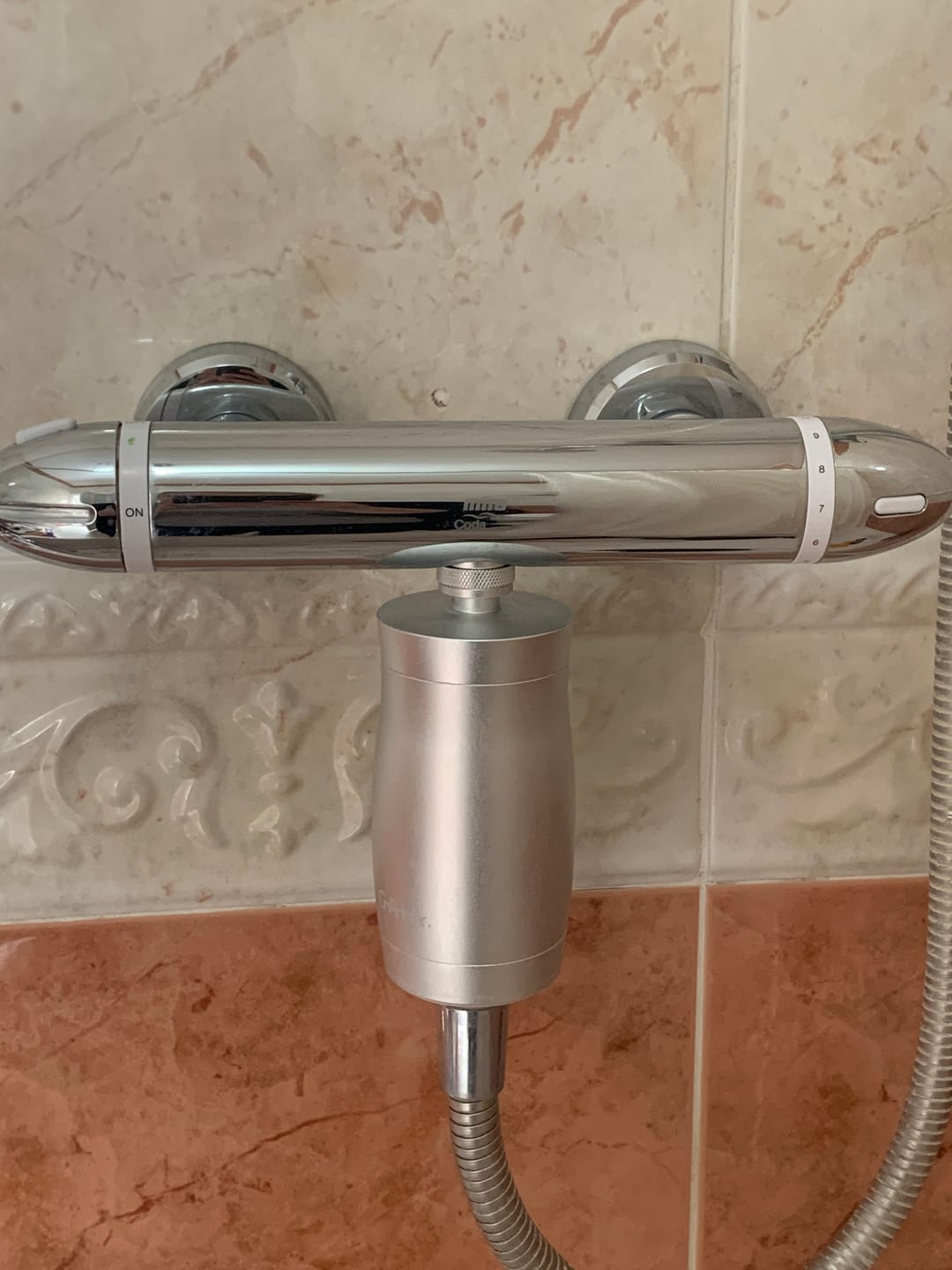 Customer photo review of The Gaia Shower Filter