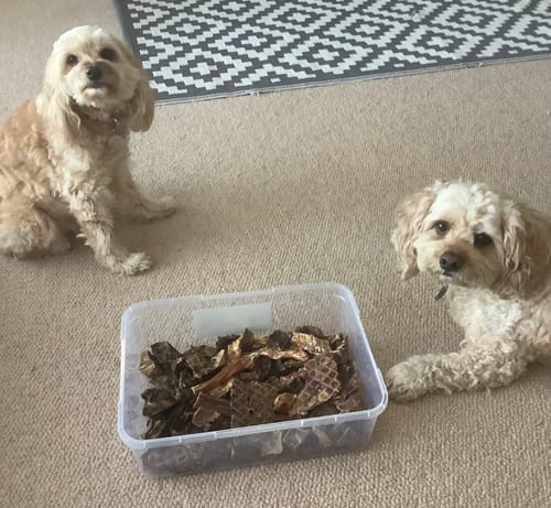 Sue P. review of Lamb Crunchies for Dogs & Cats image 1 out of 1