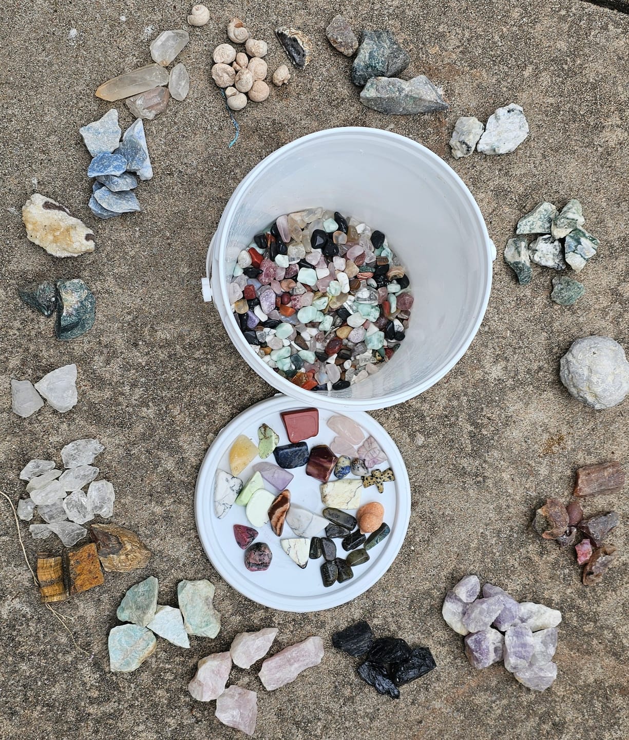 Customer photo review of Second Chance Bucket