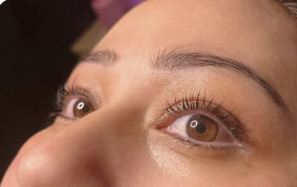 Customer photo review of Online Lash Boss Package - Classic, Hybrid, Volume, and Lash Botox Filler course