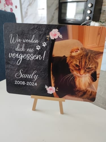 Customer photo review of Katzen Gedenktafel mit Foto & Spruch (UV- & Wetterfest)