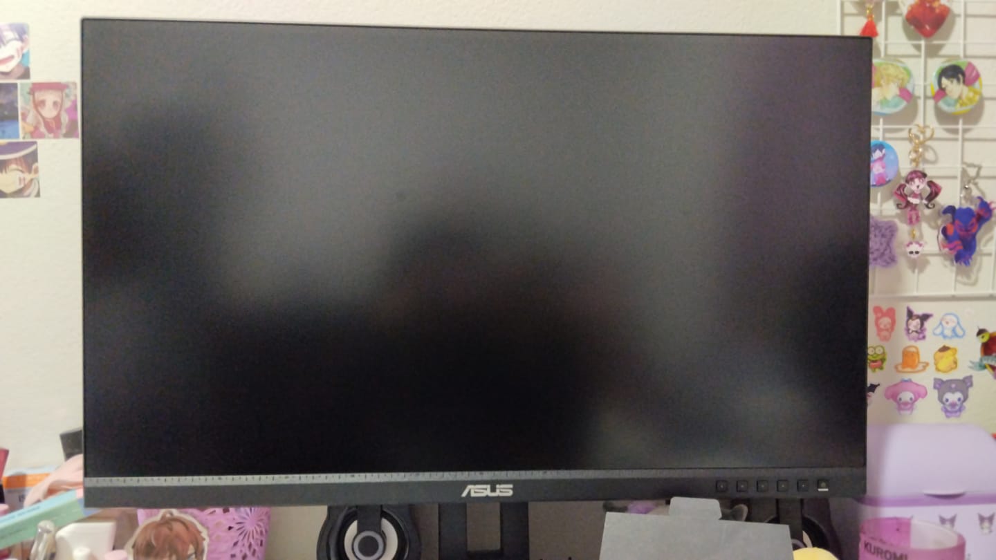 Customer photo review of Monitor Asus ProArt Display PA278QV 27" WQHD (2560 x 1440)