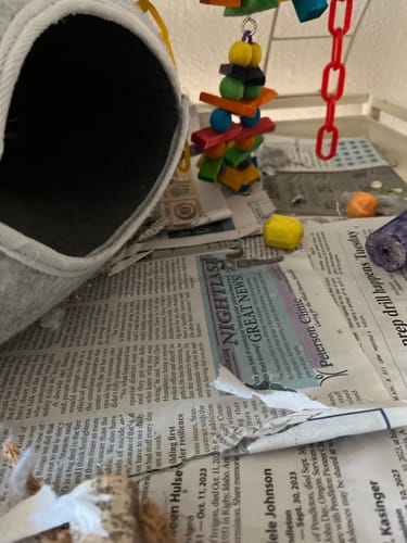 Customer photo review of 2530 Pk24 Colored Sola Rocks