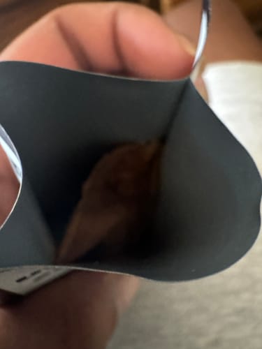 Customer photo review of LooseLeaf x Cookies 2-Pack Wraps (40 Count)