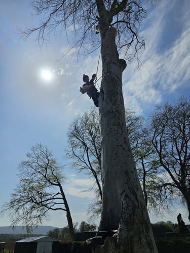 James D. review of Mushroom Gummies image 1 out of 2