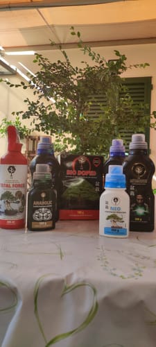 Customer photo review of ANABOLIC CB® (Trasformazione Estrema)