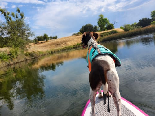 Customer photo review of Boost Fin for SUP