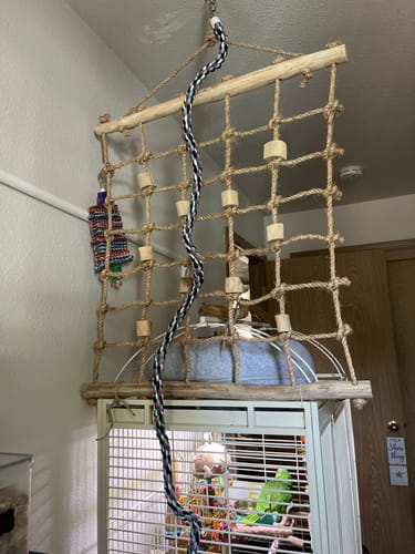 Customer photo review of Hemp Java Cargo Nets