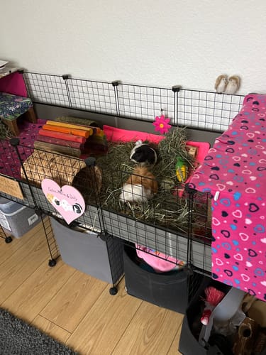 Customer photo review of Orchard Hay Box