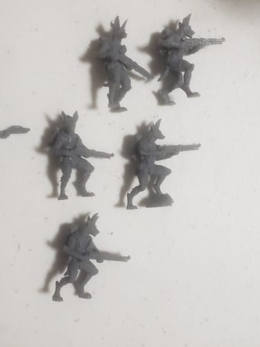 Customer photo review of Jackal Rifle Nomads (5 Models)