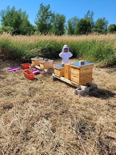 Customer photo review of Optimized 5 PACK 10 Frame Deep Box Hive Body with Wax Coating (Frameless, Logo Free) Essential Hive Part