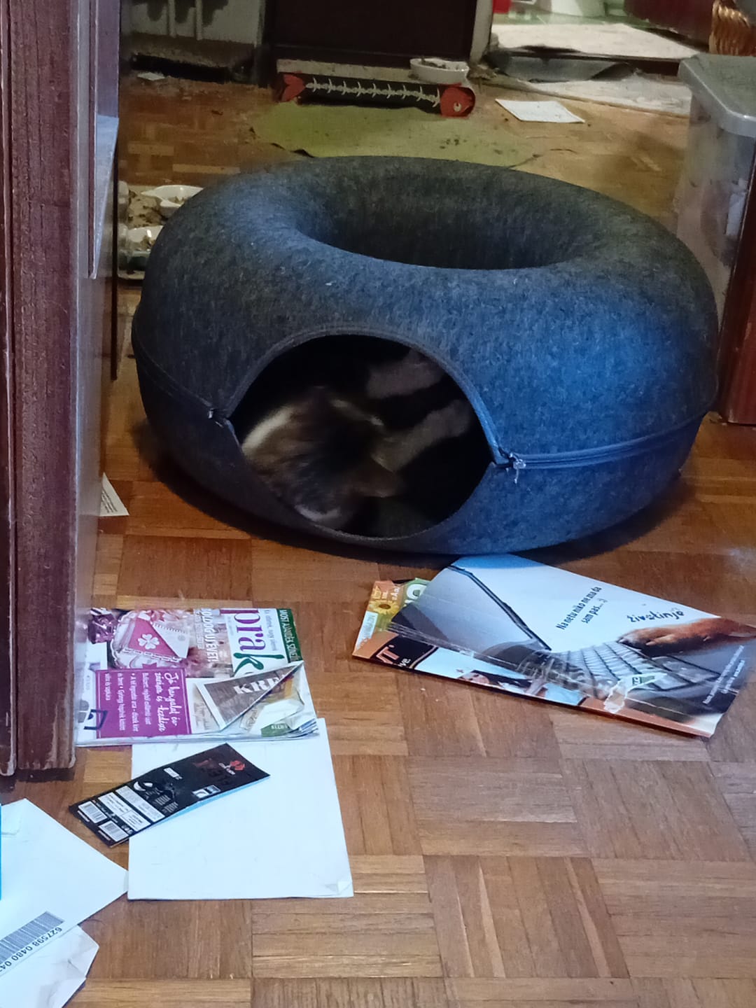 Customer photo review of Tunel Krevet za Mačke