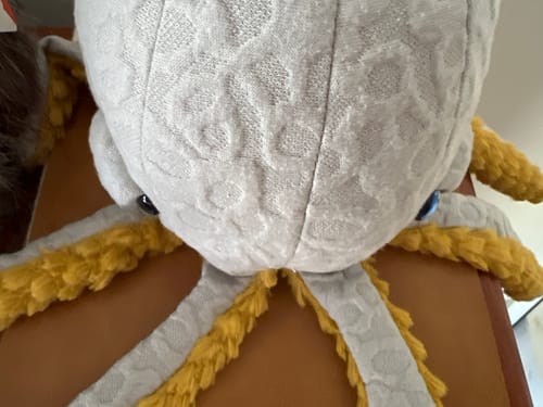 Customer photo review of The Mini Octopus