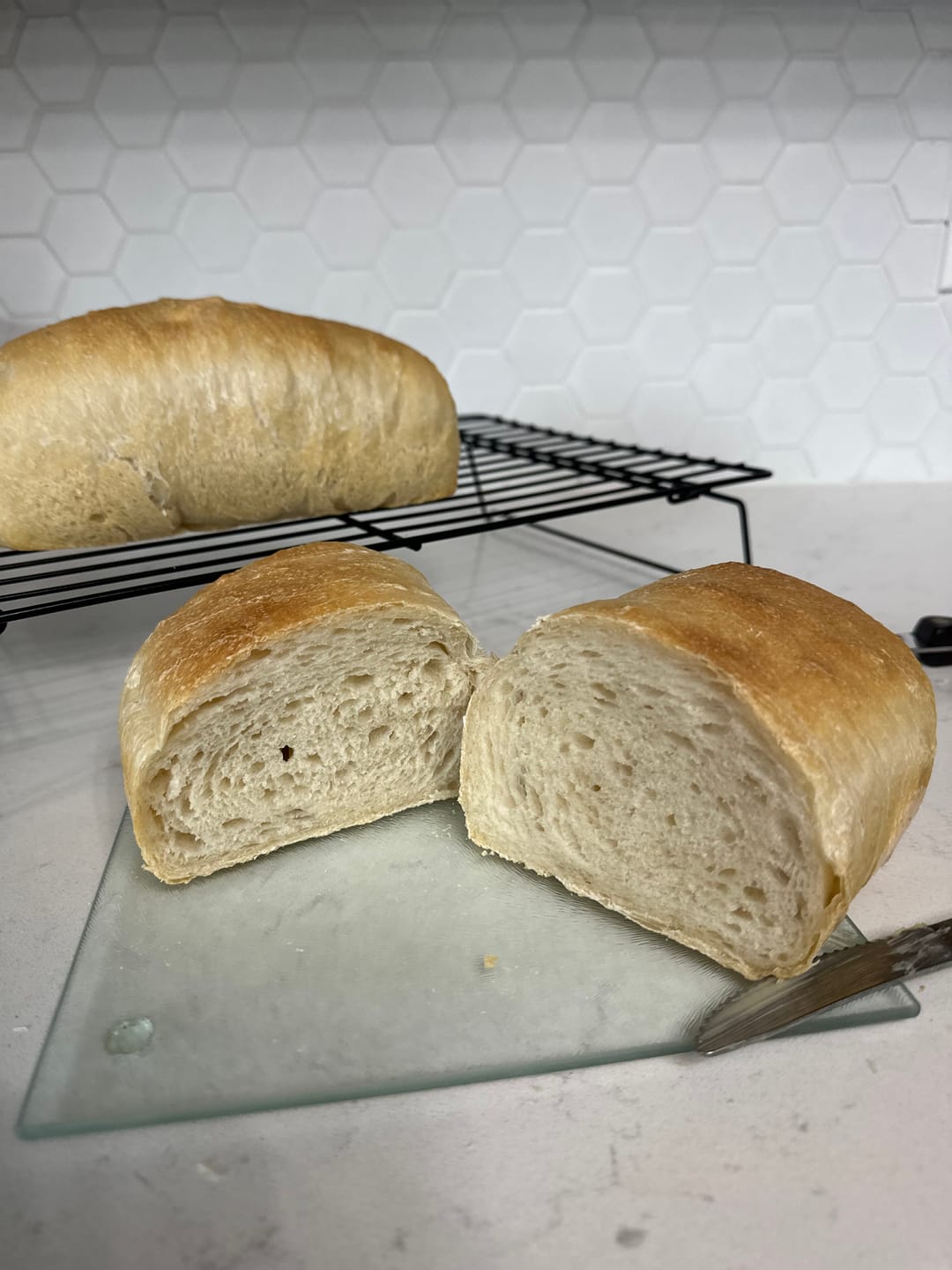 Customer photo review of Dehydrated Sourdough Starter Kit