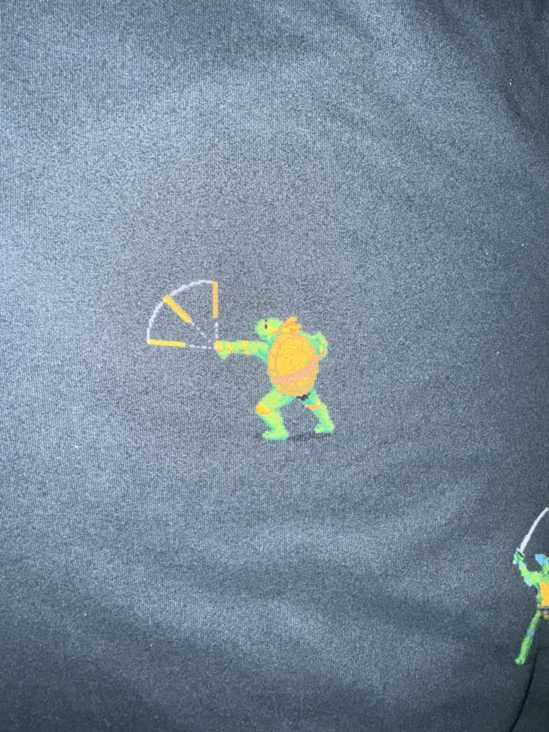 Customer photo review of Teenage Mutant Ninja Turtles "Choose Your Turtle (At Night)" – Performance Hoodie