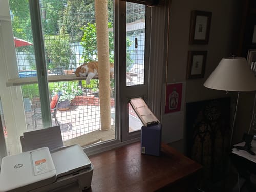 Customer photo review of Artsy gloves