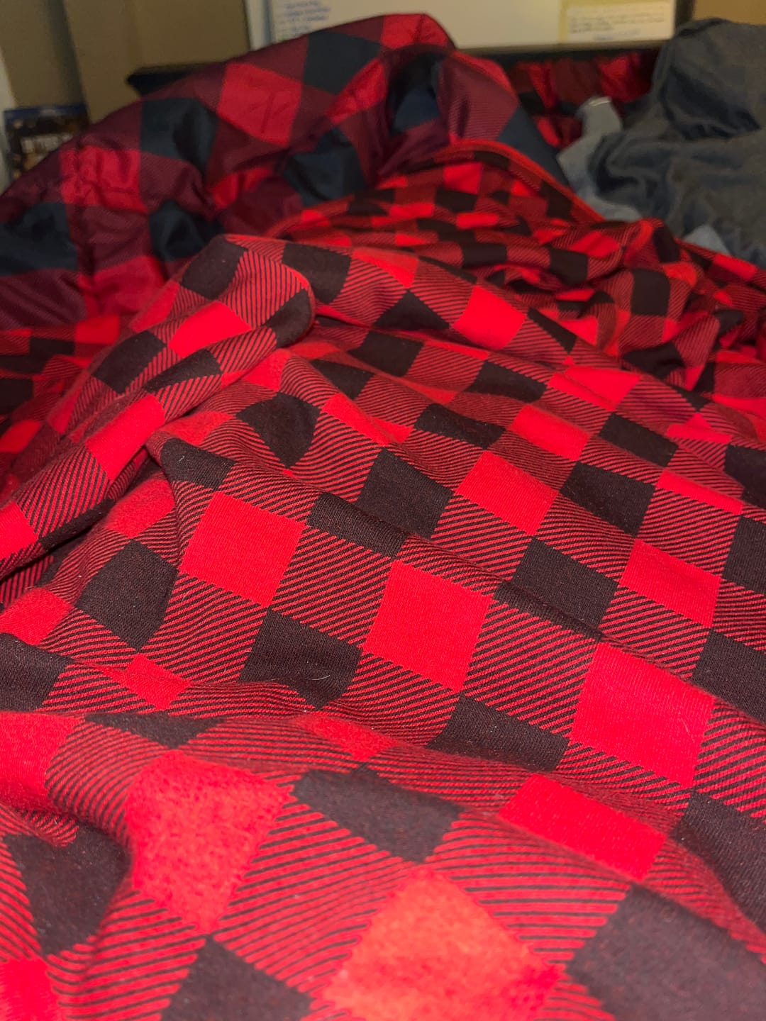 Customer photo review of XL Cozy Blanket