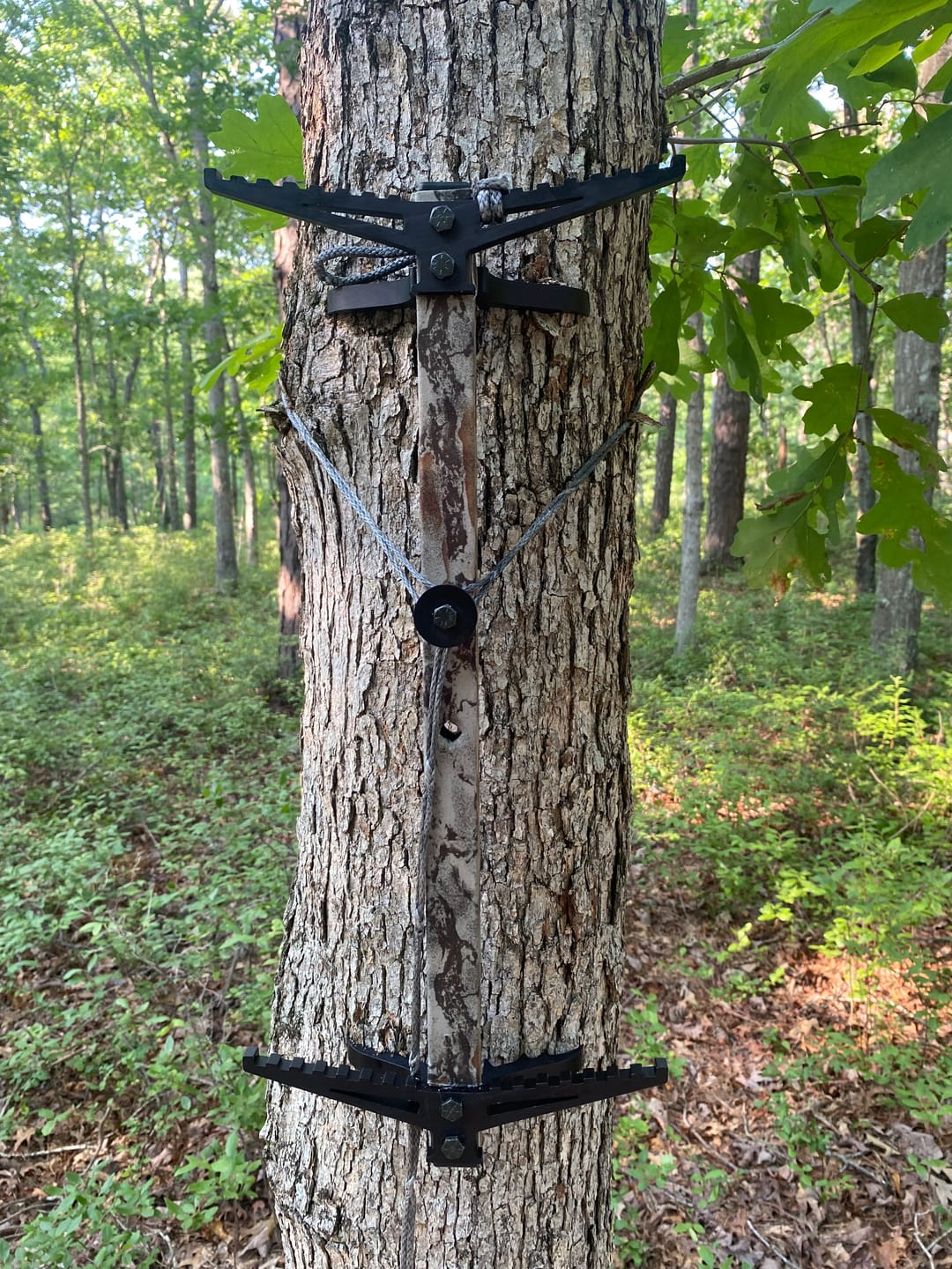 Customer photo review of 20" OB (NO HOLE) BEAST GEAR CLIMBING STICK