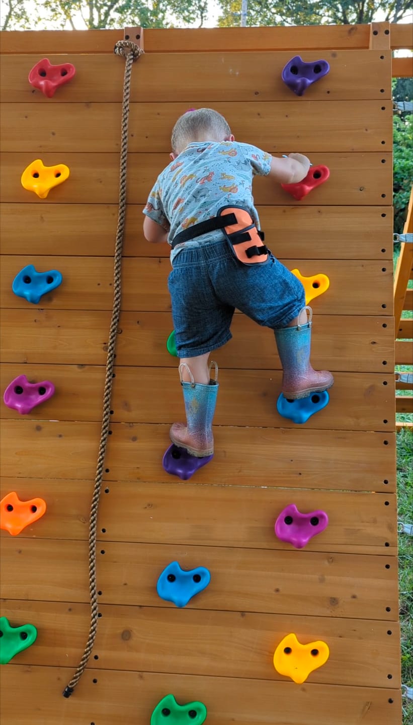 Customer photo review of Sycamore Backyard Climbing Set – 2 Swings, Trapeze Bar & Outdoor Fun