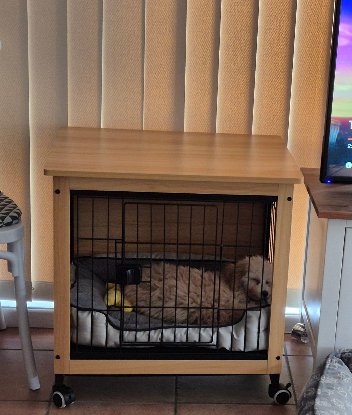 Customer photo review of PaWz Premium Wooden Wire Dog Kennel