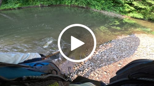 Customer video review of Blue Line Wide