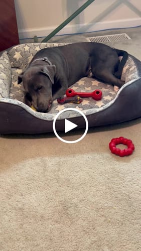 Customer video review of BANANA YAK CHEWS
