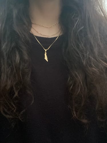 Customer photo review of Israel Map Necklace