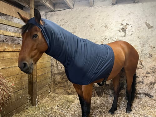 Customer photo review of Rhinegold Satin Lycra Stretch Neck Cover