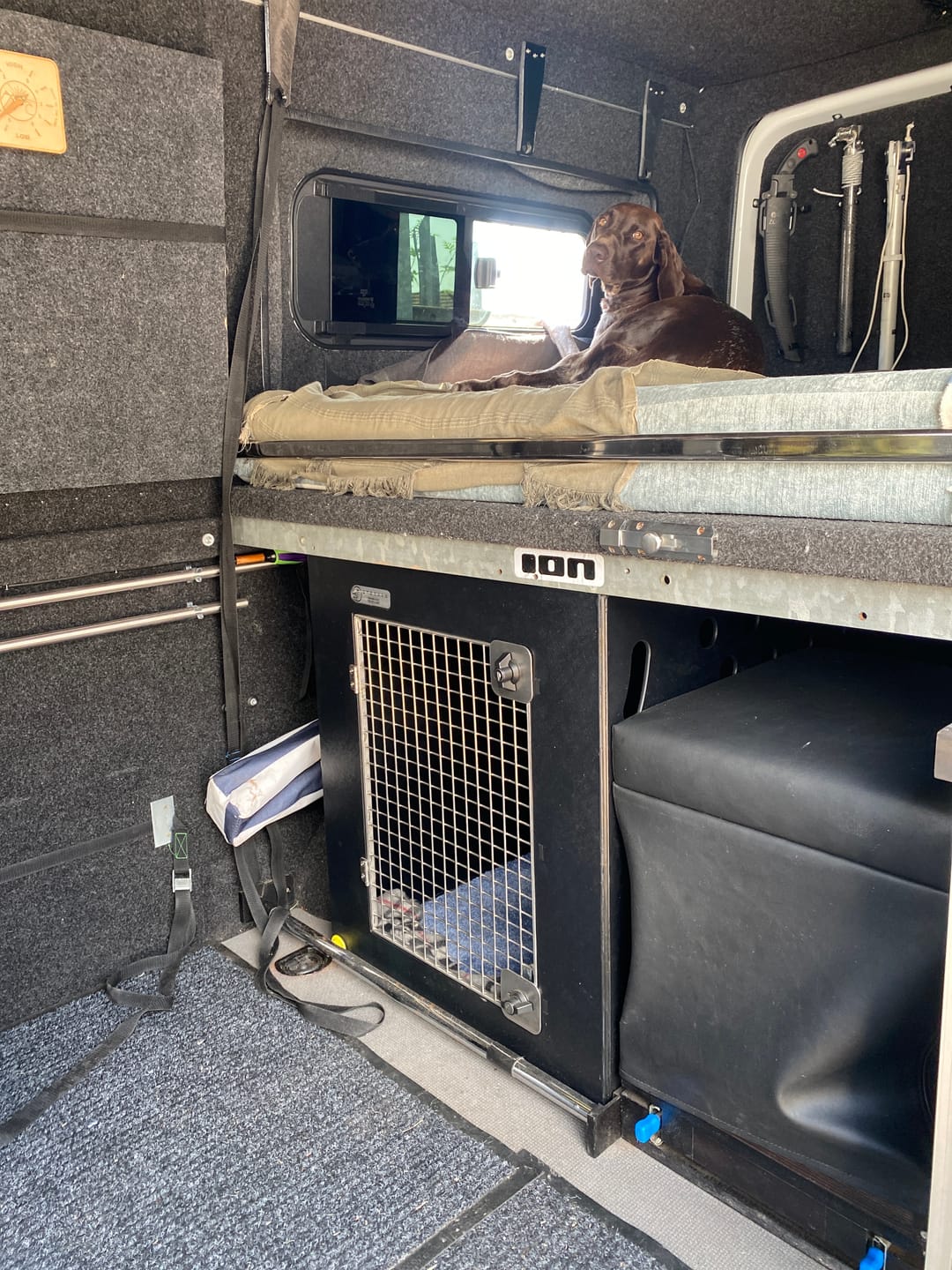 Customer photo review of DT Box Dog Car Travel Crate - The DT 600