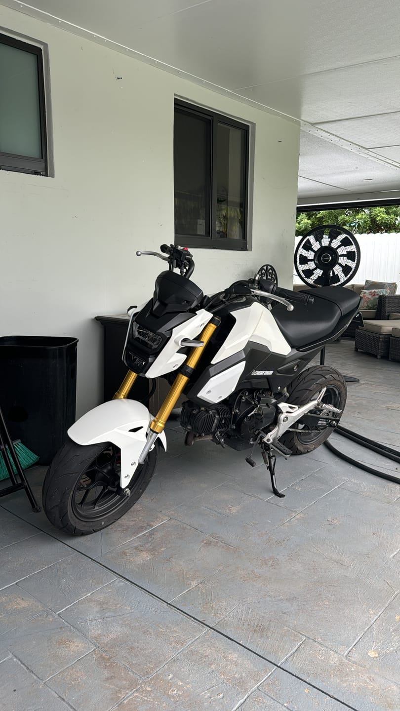 Customer photo review of Honda Grom Front Signals (2013-2020)
