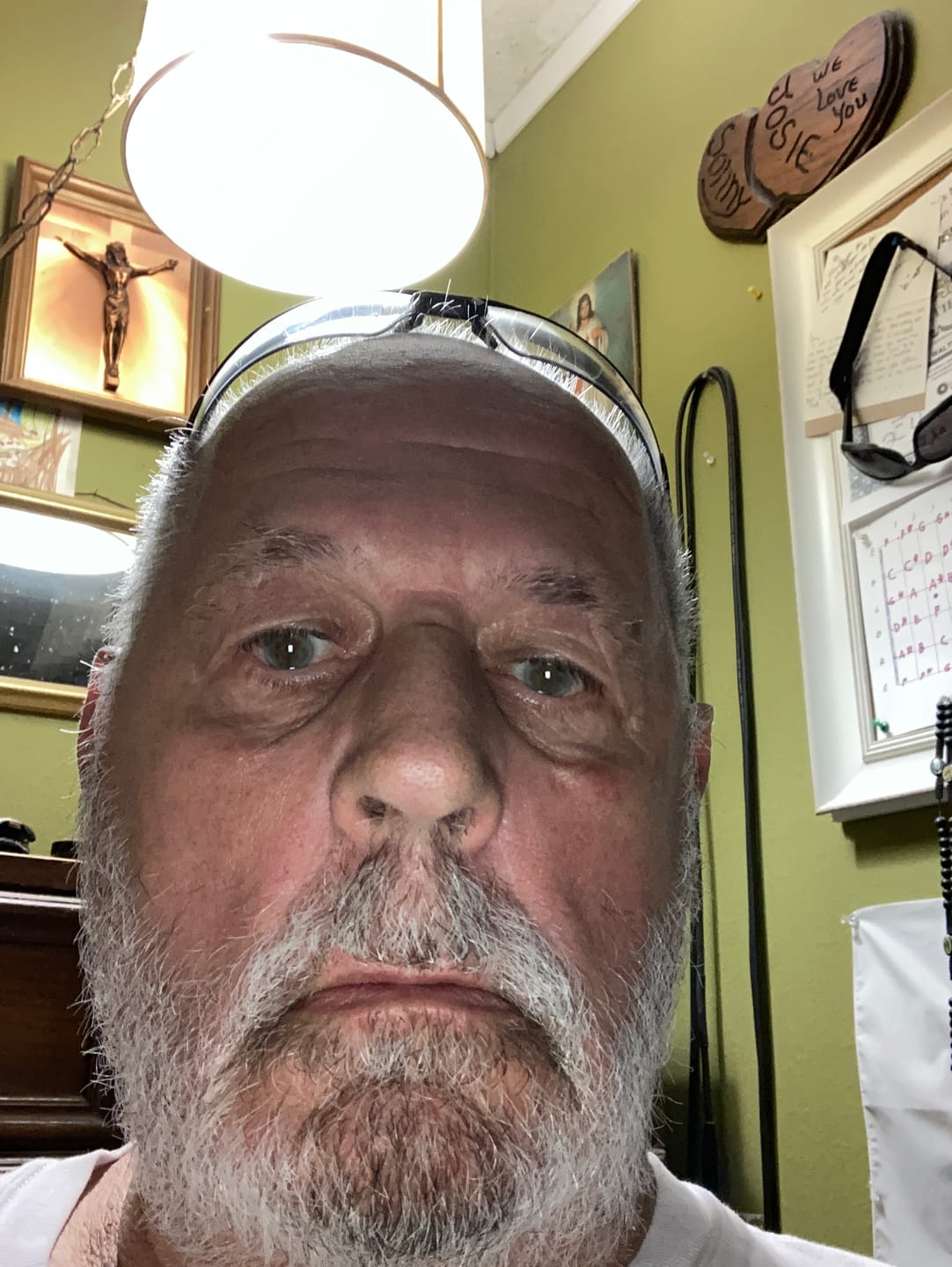 Customer photo review of Professional Guardian