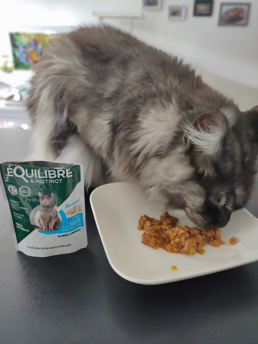 Customer photo review of Effilés au poulet, courges & agrumes (chat stérilisé et chat adulte)