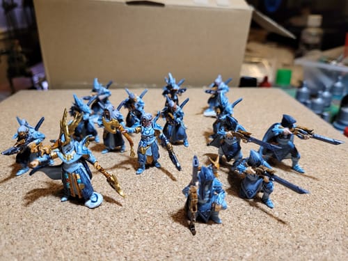 Customer photo review of Elf Fleets Elite Protector (1 Model)