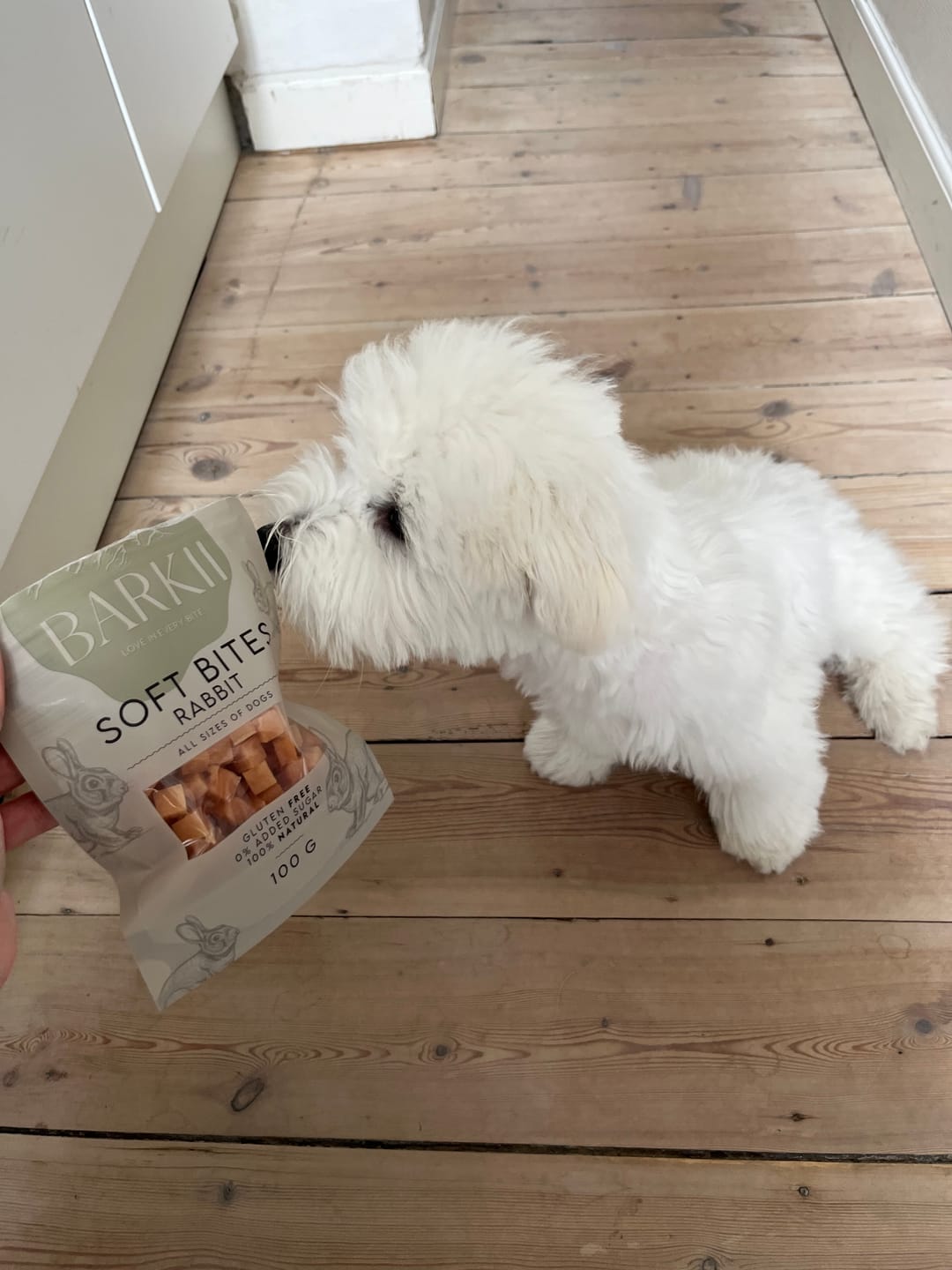 Customer photo review of Barkii - Smagspakken