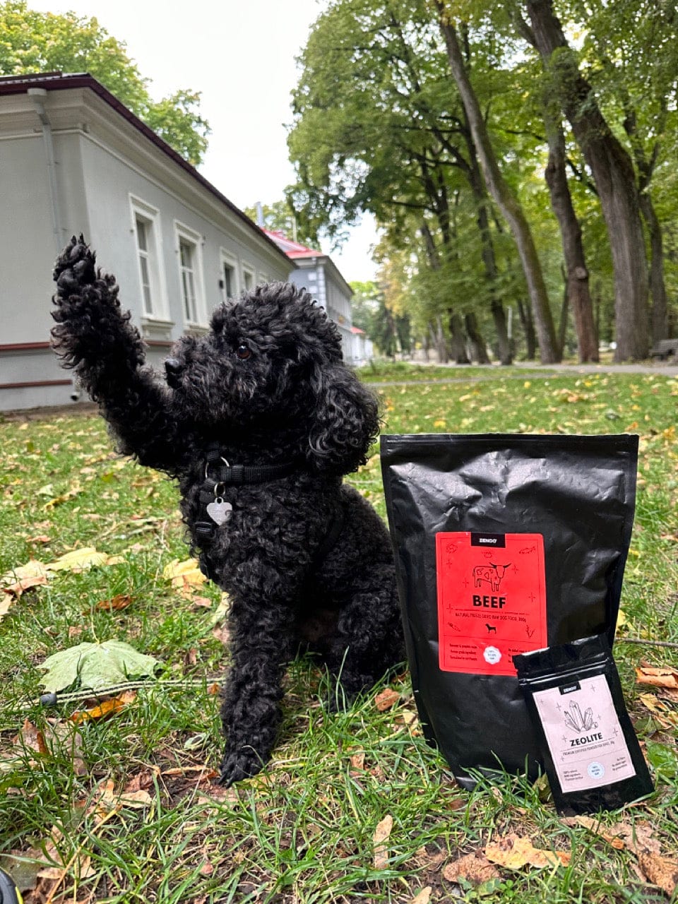 Customer photo review of Natural & Balanced Beef Recipe
