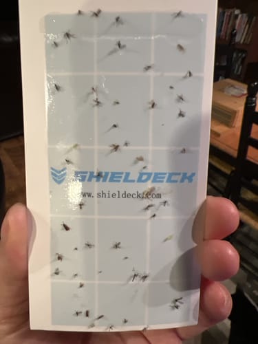 Customer photo review of Shieldeck® BuzzTrap - Ultimate Indoor Mosquito Smart UV Trap