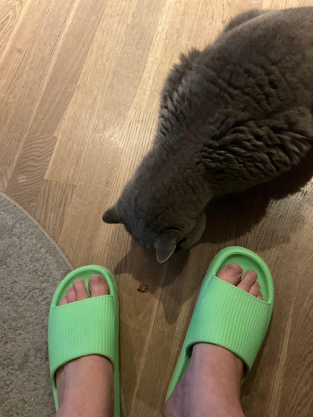 Customer photo review of HappyFlops Limited Editions
