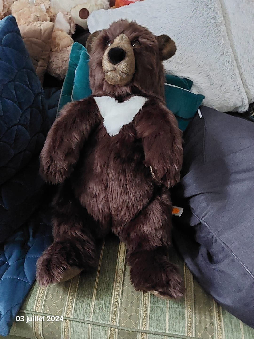 Customer photo review of Ma peluche Ours brun Gabin