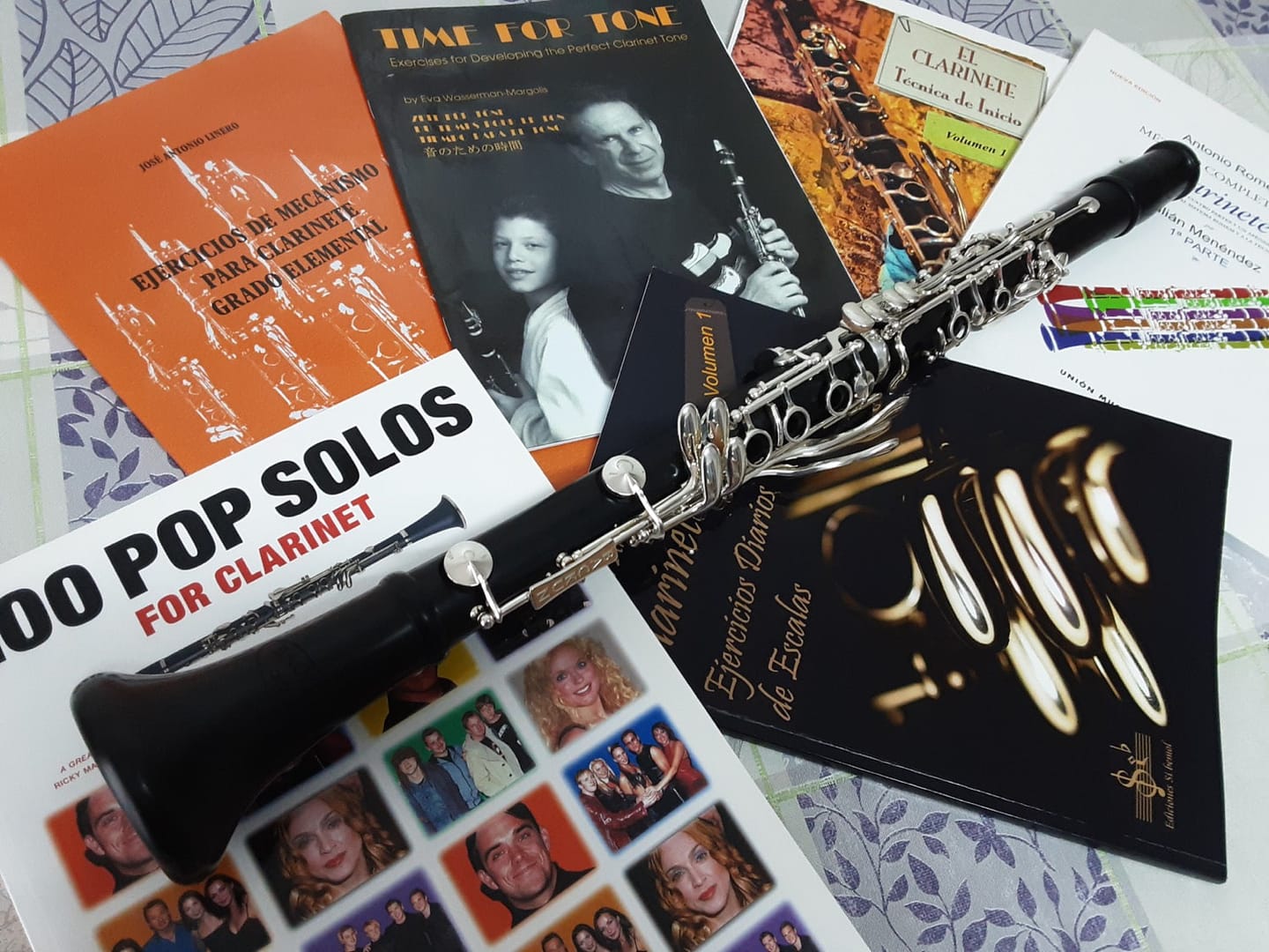 Customer photo review of Protégé Bb Clarinet