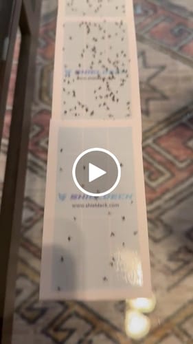 Customer video review of Shieldeck® BuzzTrap - Ultimate Indoor Fly Smart UV Trap