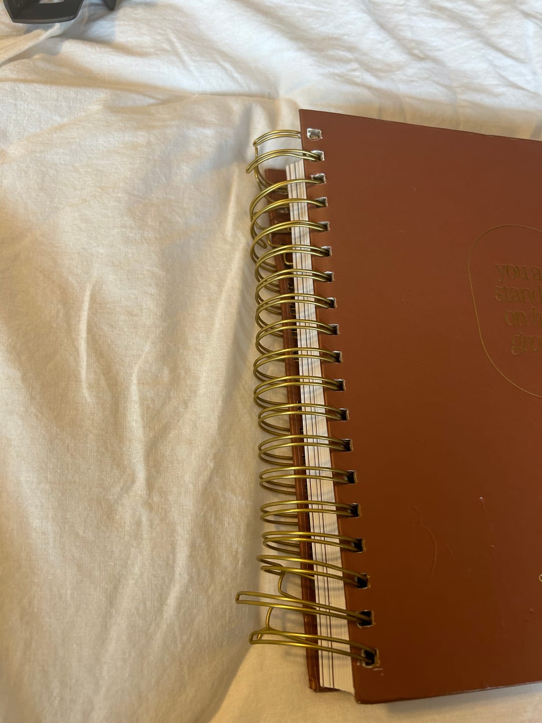 Customer photo review of Catholic Academic Liturgical Planner // Big Layout