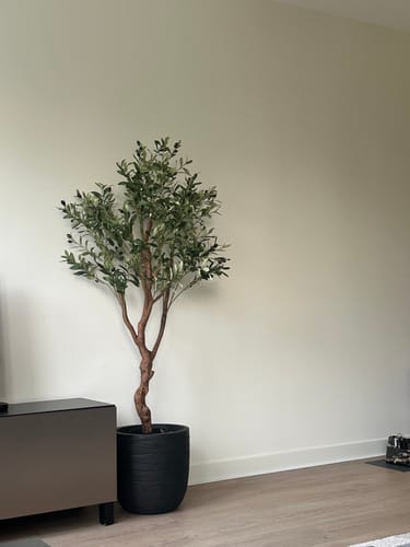 Customer photo review of Kunst Olijfboom 150cm