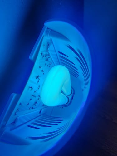 Customer photo review of Shieldeck® BuzzTrap - Smart Indoor Bug Zapper