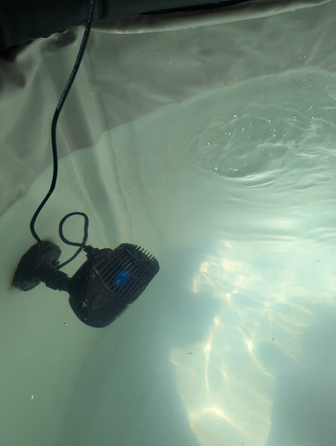 Customer photo review of Water Circulation Jet