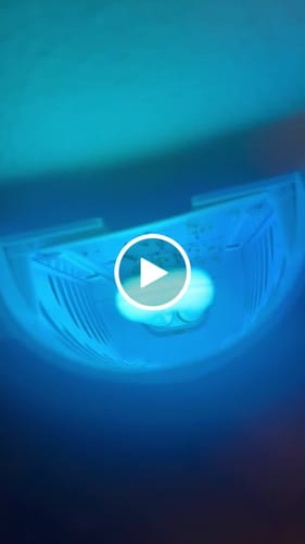 Customer video review of Shieldeck® BuzzTrap - Ultimate Indoor Fly Smart UV Trap