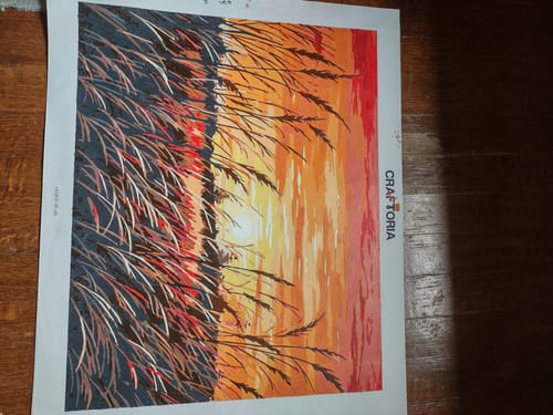 Customer photo review of Sunset Meadow