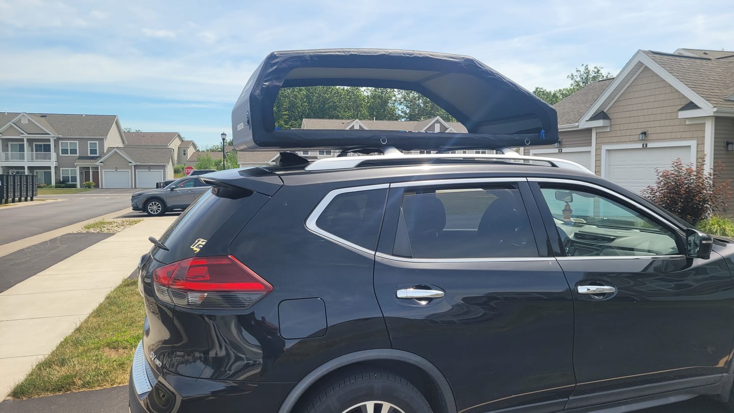 Customer photo review of LARGE CARRIER23